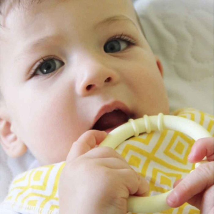 ARK's Baby Chew Rings Collection