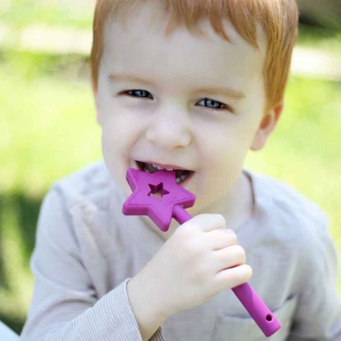 ARK's Fairy Princess Star Wand Lifestyle