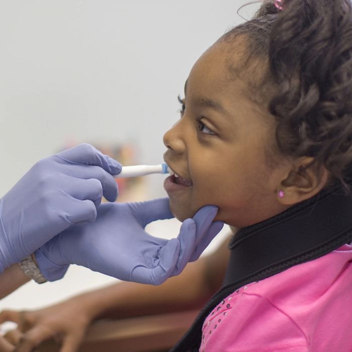 ARK's Oral Motor Probe Handle Therapy