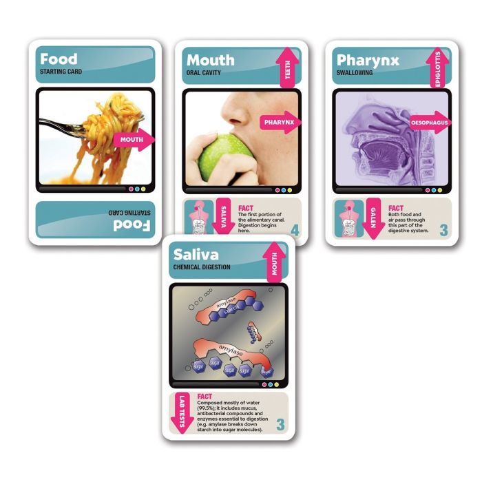 Brainbox Brainlinks Snap and Pairs Digestion Green Board
