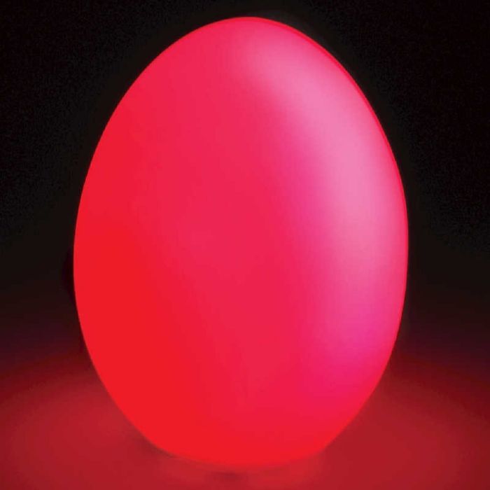 Colour Changing Light Up Egg Lamp Tobar