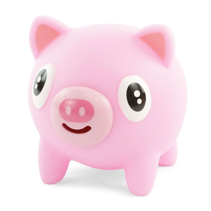 Noisy Pig Sensory Toy