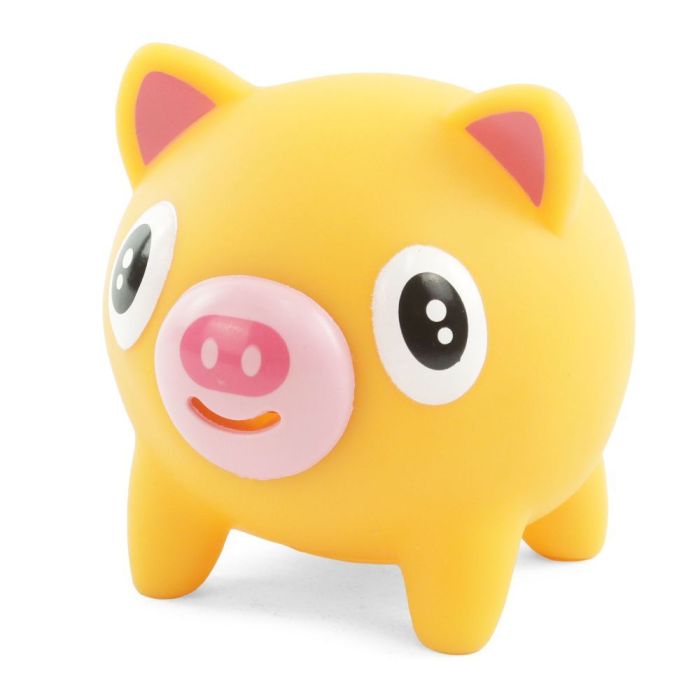 Noisy Pig Sensory Toy