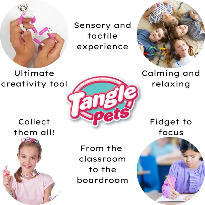 Tangle Jr Pets Series Infographic