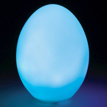 Colour Changing Light Up Egg Lamp Tobar