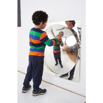 Giant Single Dome Acrylic Mirror Panel 74212 TickiT